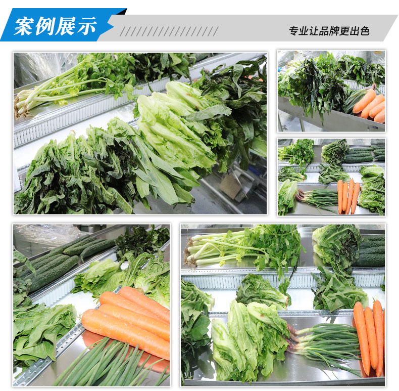 枕式蔬菜包裝機(jī)(圖3)