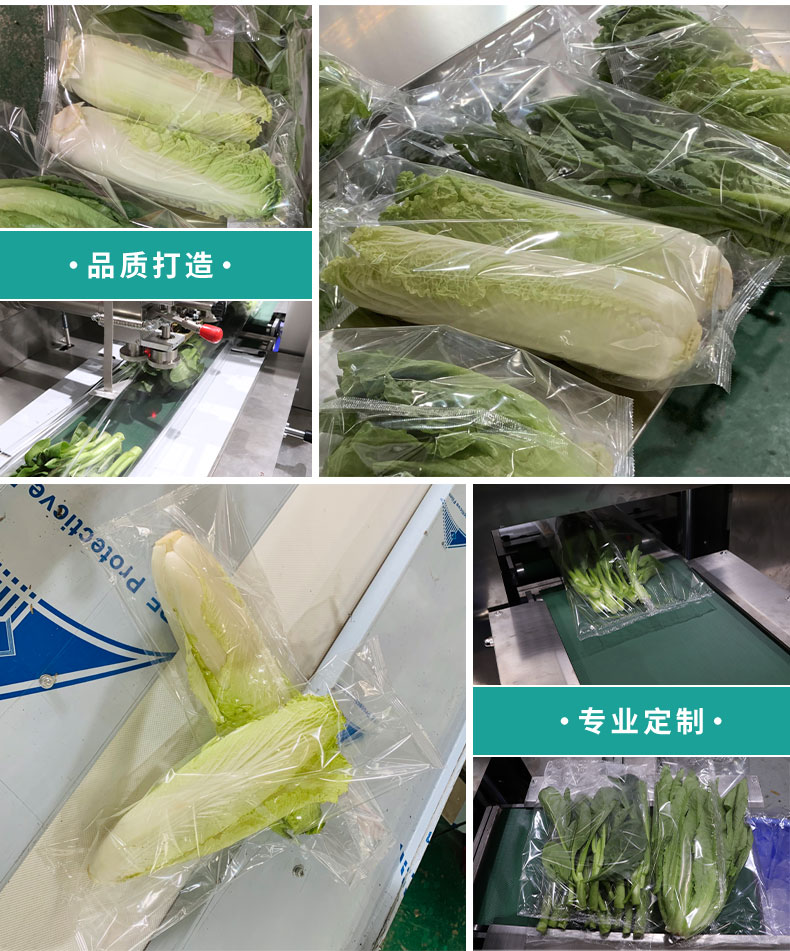 枕式白菜包裝機(jī)(圖2)