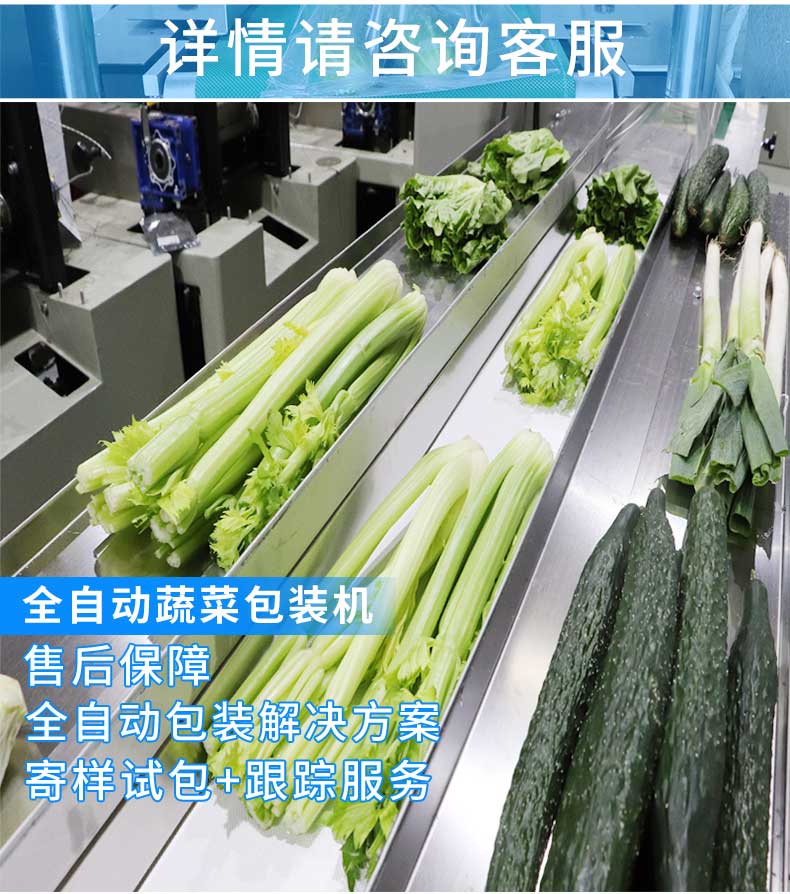 玉米蘿卜青菜包裝機(圖1)